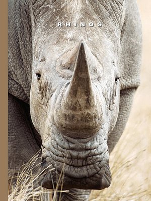 cover image of Rhinos